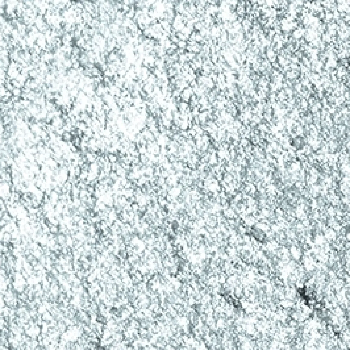 high_pigment_eyeshadow_106.webp KIKO Milano high pigment eyeshadow^ Ombres À Paupières