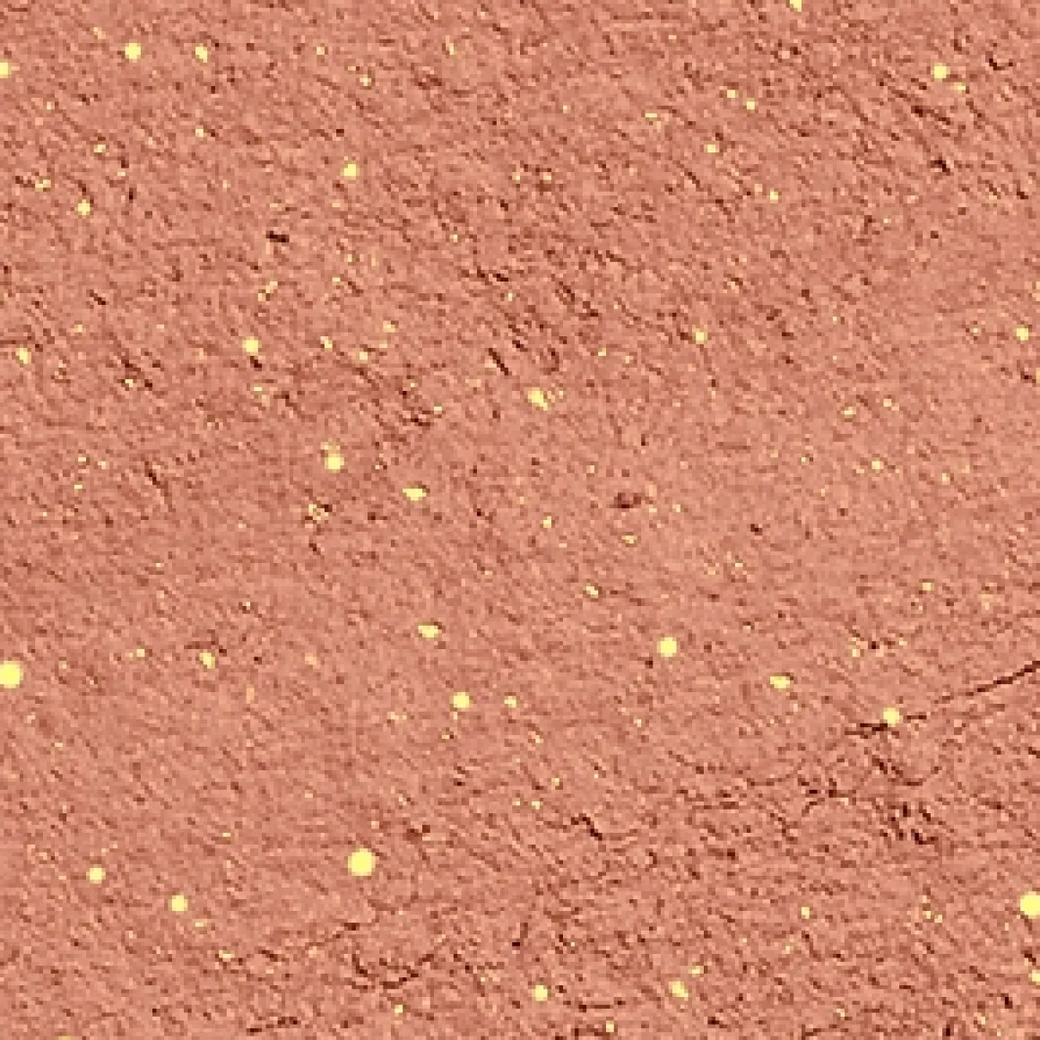 high_pigment_eyeshadow_11.webp KIKO Milano high pigment eyeshadow^ Ombres À Paupières