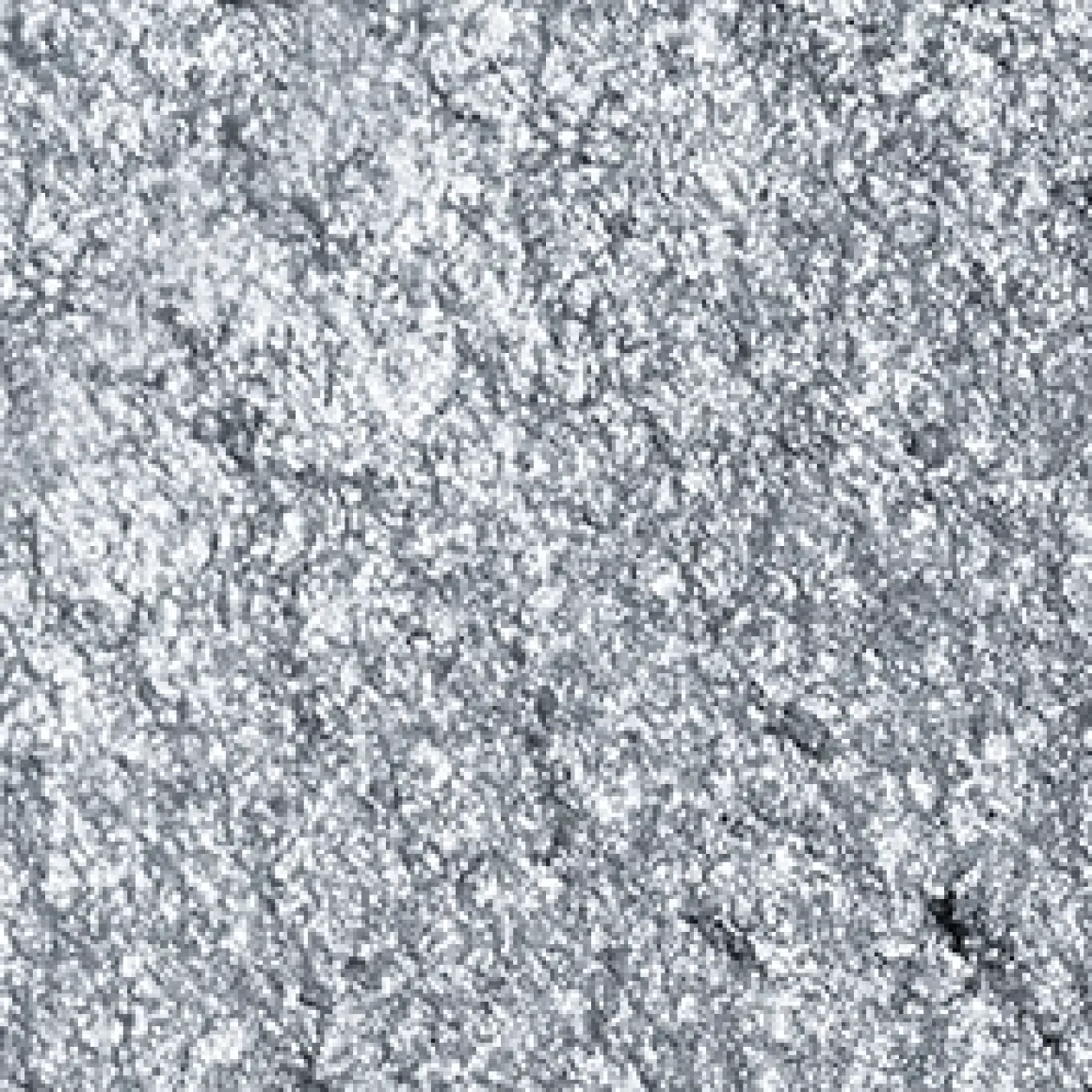 high_pigment_eyeshadow_125.webp KIKO Milano high pigment eyeshadow^ Ombres À Paupières