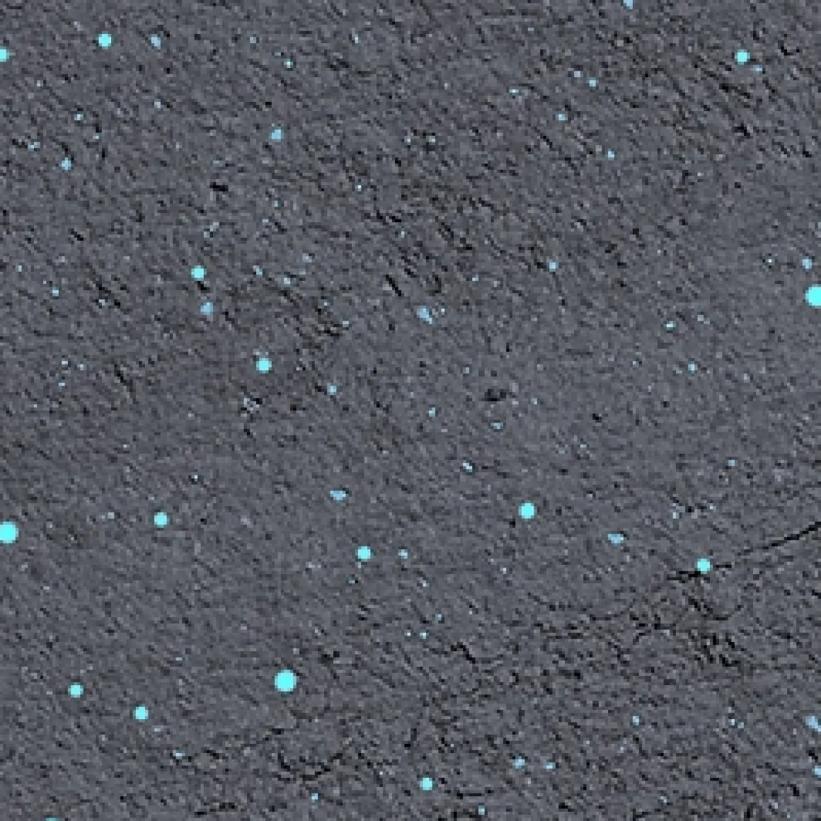 high_pigment_eyeshadow_128.webp KIKO Milano high pigment eyeshadow^ Ombres À Paupières