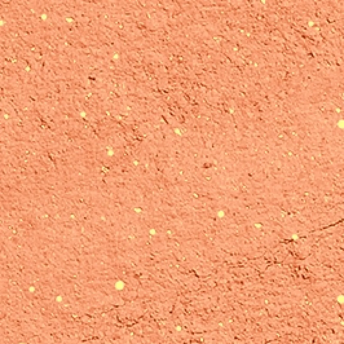 high_pigment_eyeshadow_23.webp KIKO Milano high pigment eyeshadow^ Ombres À Paupières