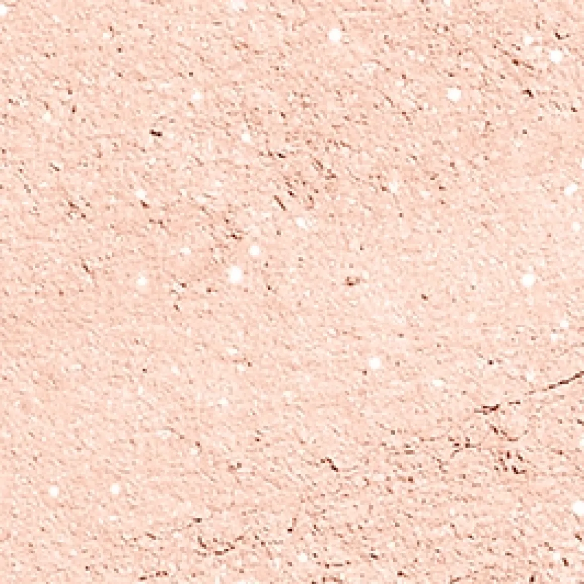 high_pigment_eyeshadow_39.webp KIKO Milano high pigment eyeshadow^ Ombres À Paupières