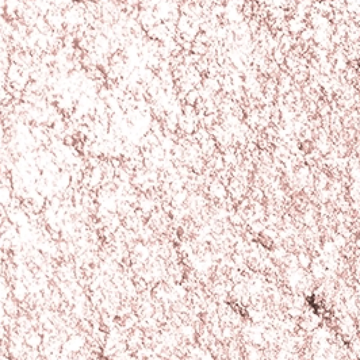 high_pigment_eyeshadow_89.webp KIKO Milano high pigment eyeshadow^ Ombres À Paupières