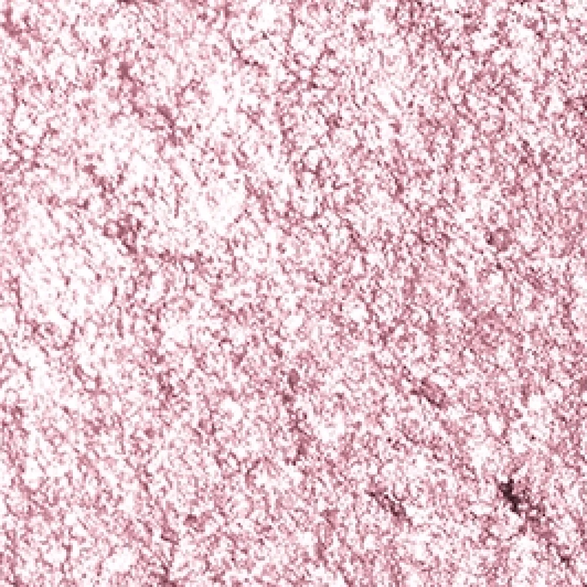 high_pigment_eyeshadow_92.webp KIKO Milano high pigment eyeshadow^ Ombres À Paupières